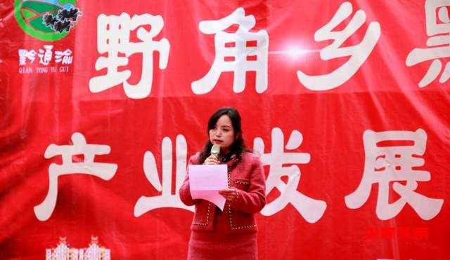 毕节市七星关区野角乡黑木耳产业基地揭牌:乡村振兴新篇章,奏响“金耳朵”致富曲