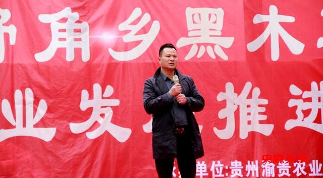 毕节市七星关区野角乡黑木耳产业基地揭牌:乡村振兴新篇章,奏响“金耳朵”致富曲