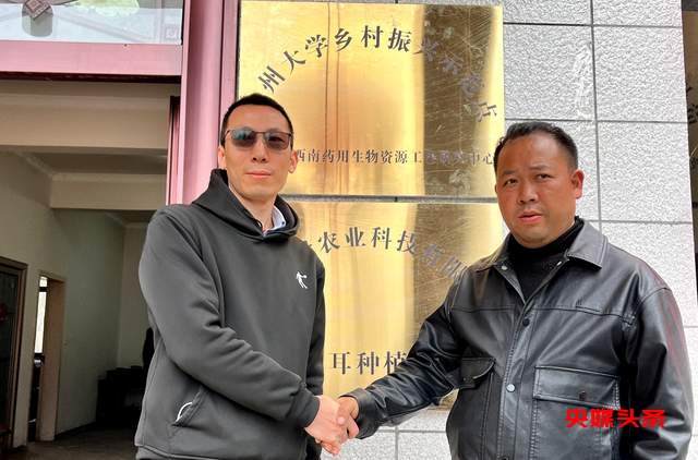 毕节市七星关区野角乡黑木耳产业基地揭牌:乡村振兴新篇章,奏响“金耳朵”致富曲