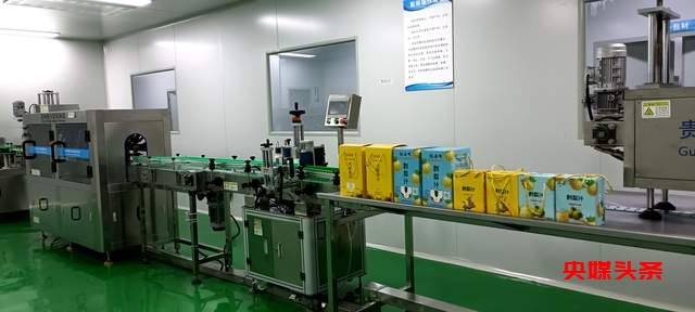 贵州湄潭刺梨，金源康的金色产业链，助力乡村致富新路径