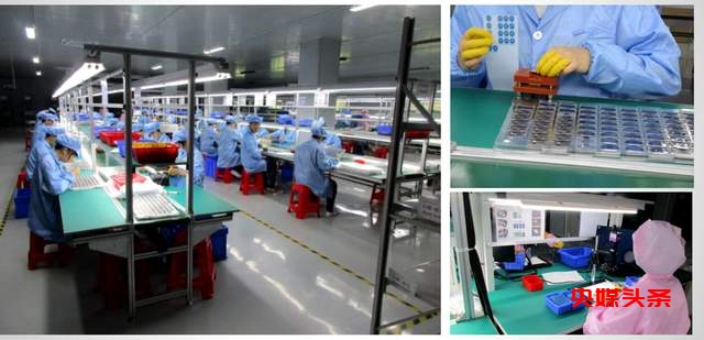 胡栋明：追梦深圳的实业家，以刺梨书写家乡情怀