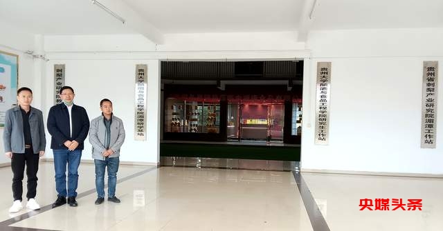 湄潭县工业新纪元启航:湄潭金源康打造本土刺梨饮料传奇！