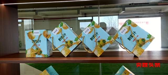 湄潭县工业新纪元启航:湄潭金源康打造本土刺梨饮料传奇！