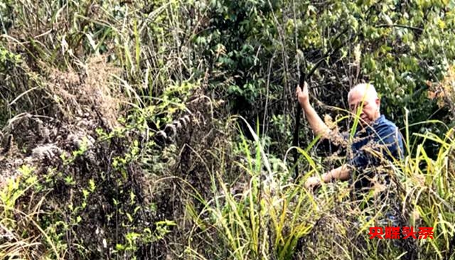 马铃乡：红军南渡乌江后的关键战役与民间故事