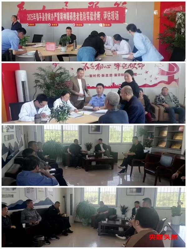 镇平县雪枫街道办事处联合多部门开展严重精神病患者复诊活动