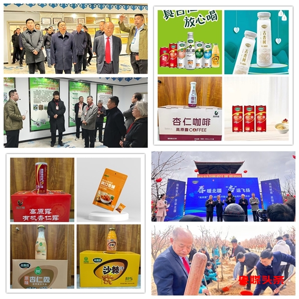 春暖北疆“杏”运飞扬 鄂尔多斯第八届杏花节暨高原杏仁露40周年庆典启幕