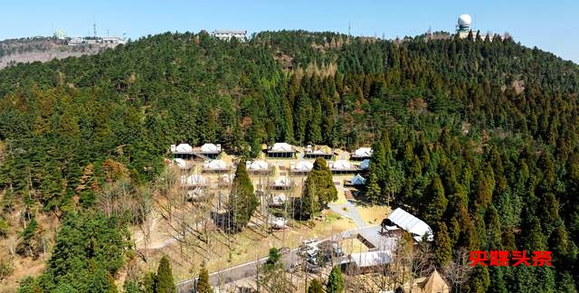 2025中国国际露营大会：以“会生长的入场证”播种绿色希望