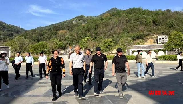 江西省抚州市政协副主席唐永文点赞东兰生态康养露营产业