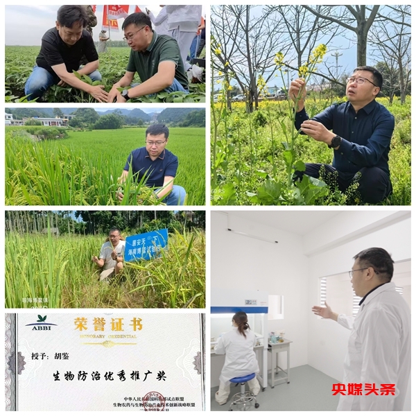 从科研到市场 农业创新征程上的逐光者——菌安天下胡鉴采访记