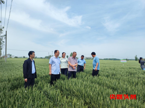 河南襄城：产教融合 助力乡村振兴