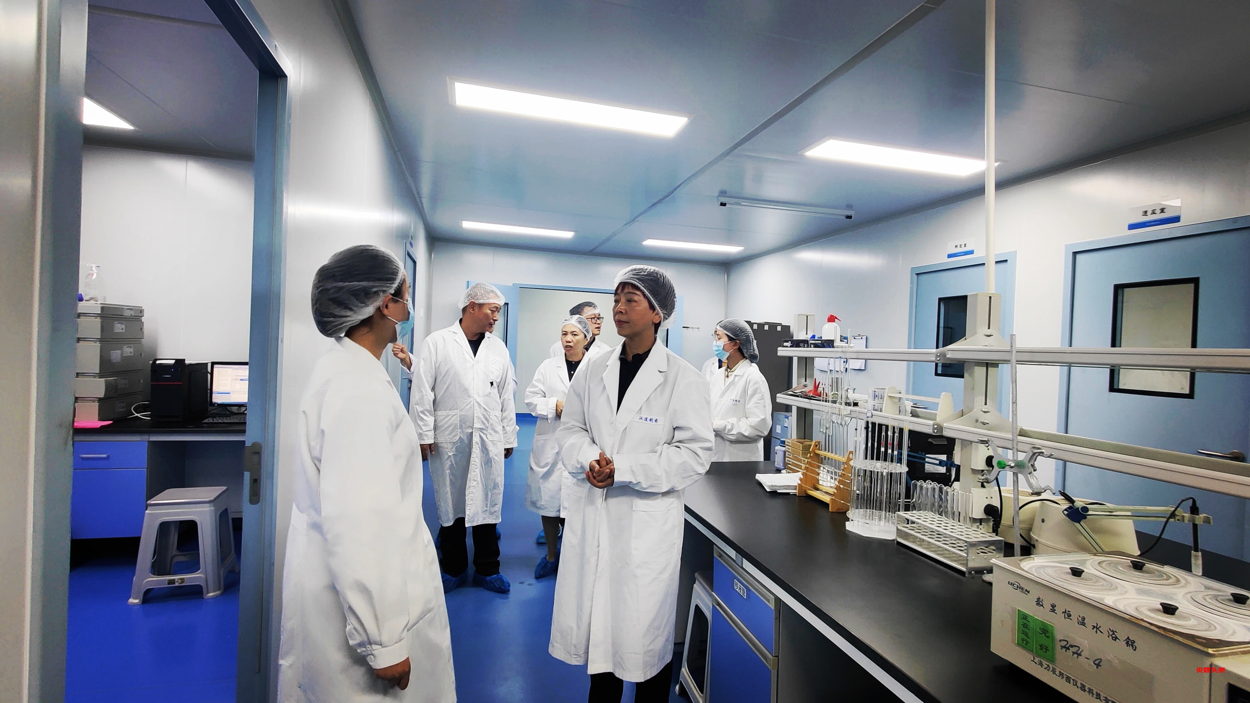 跨越千年的对话：陈子久用科学验证傣医古方奇迹