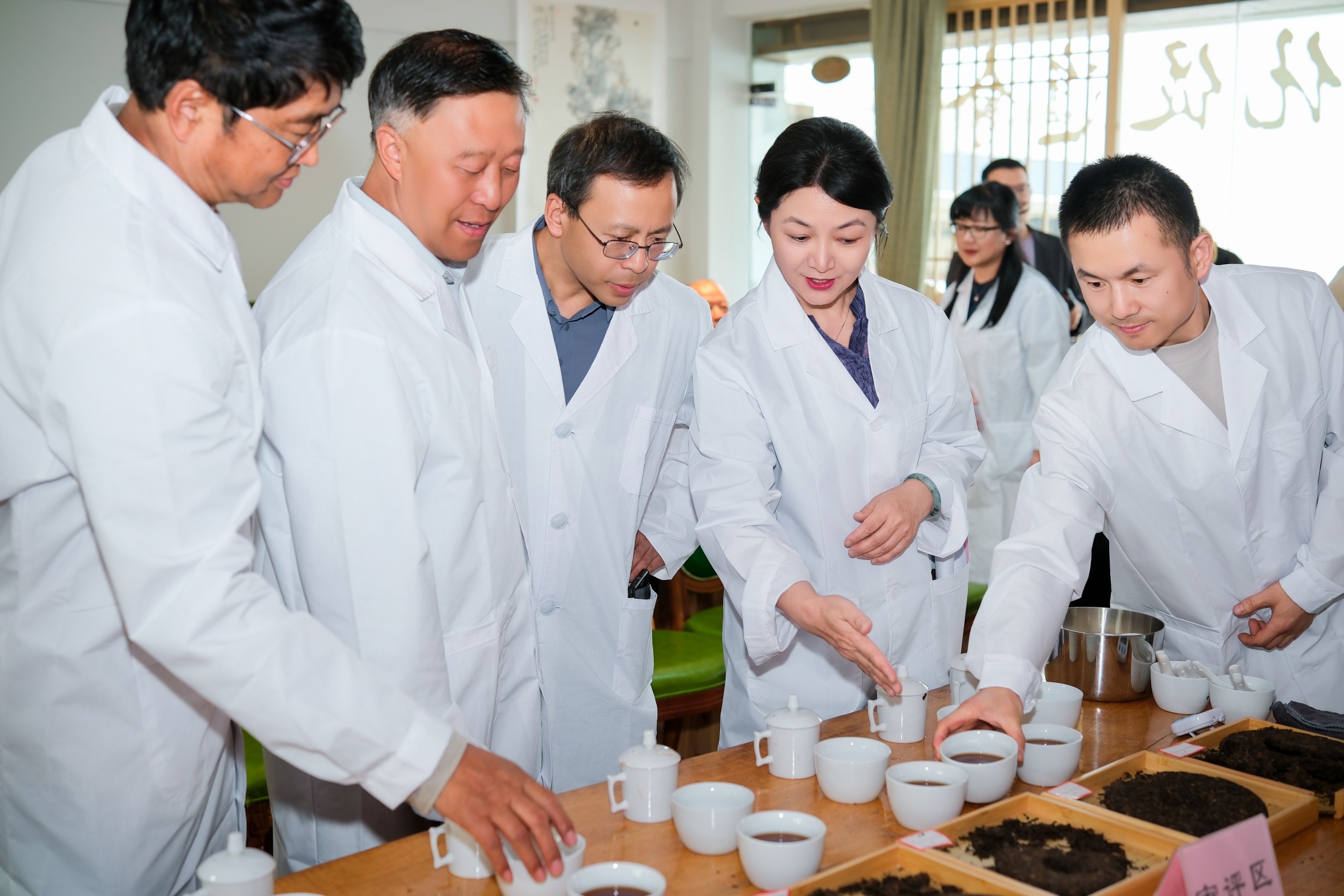 昆明茶文化促进会举办2025年“5•21国际茶日”好茶品鉴推介盛会