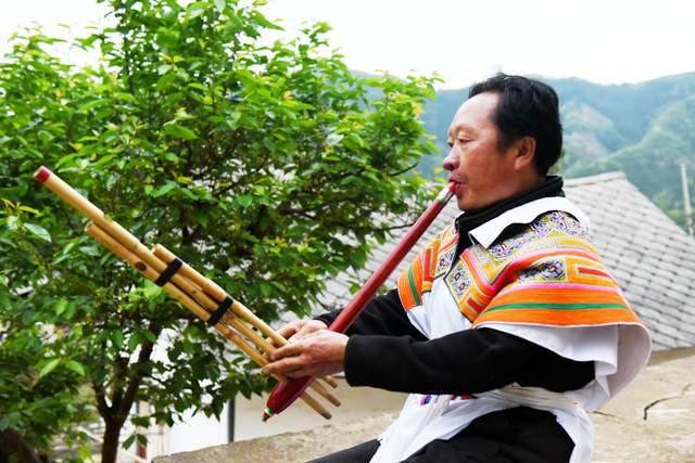 王海生：一把芦笙一份匠心的传承之路