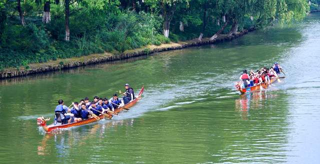 龙舟竞渡，杭州市全民龙舟争霸赛再掀千年文化浪潮