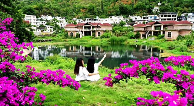 六盘水米箩镇倮么村：三角梅盛开乡村美丽画卷引客来