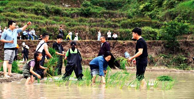 端午“村”游热！从江多彩民俗“粽”享欢乐时光