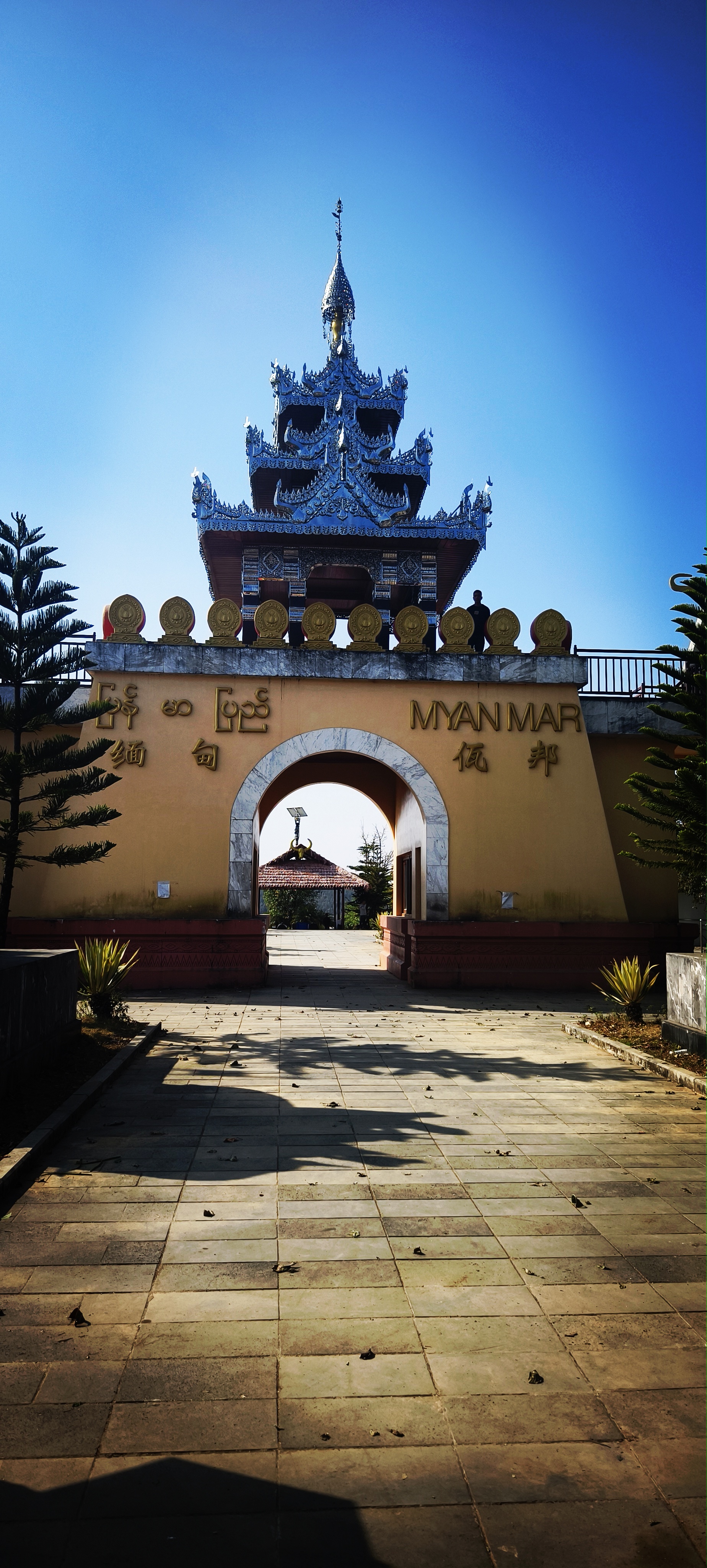 郑明：半个世纪的寻梦之旅