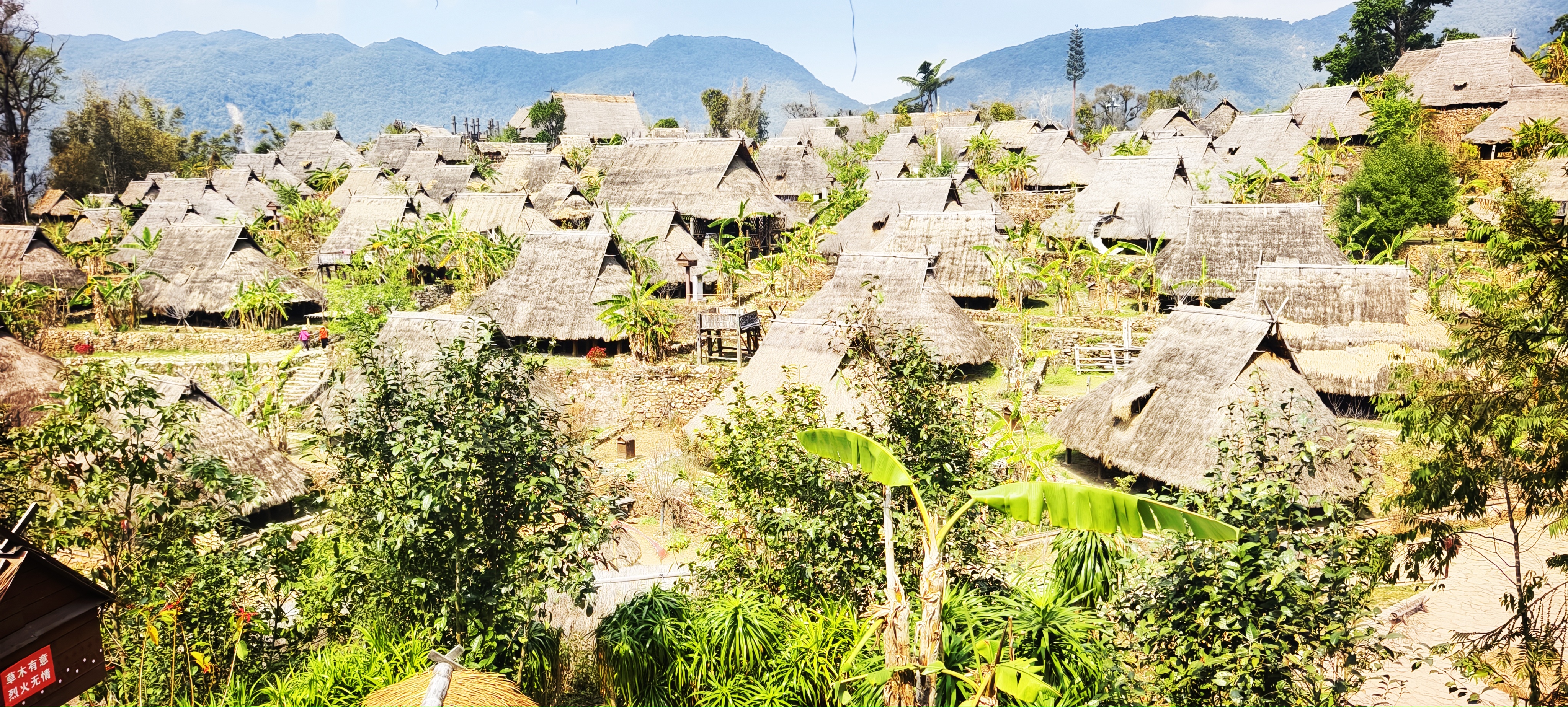 郑明：半个世纪的寻梦之旅