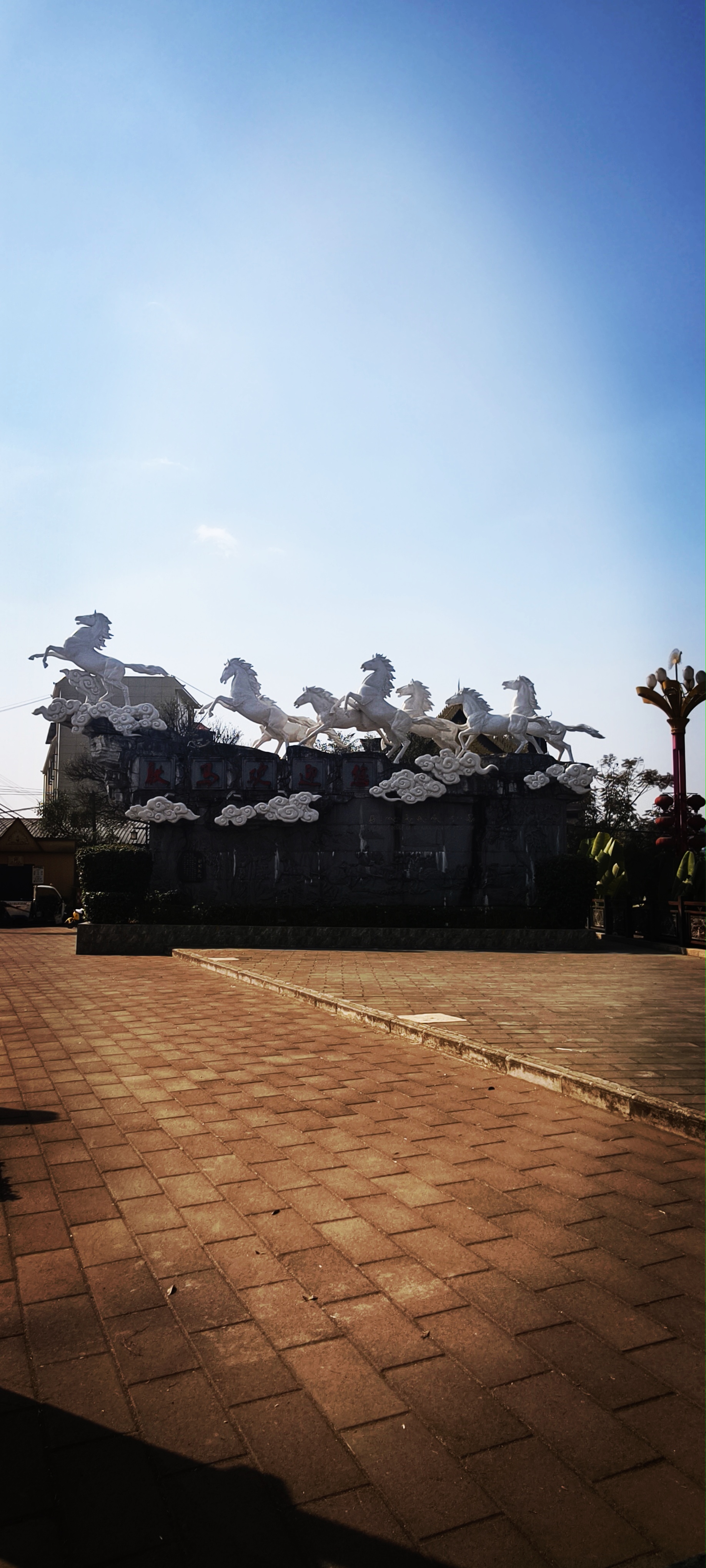 郑明：半个世纪的寻梦之旅