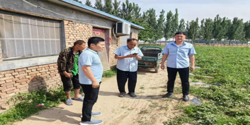 河南安阳：瓜熟蒂落愁销路 驻村帮扶显担当