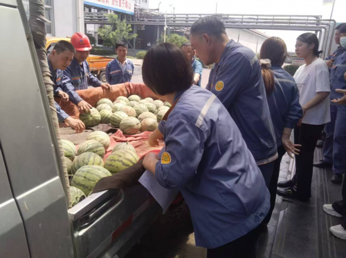 河南安阳：瓜熟蒂落愁销路 驻村帮扶显担当