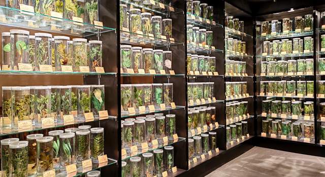 丹寨苗族文化博览馆盛大启幕：云上丹寨再添千年苗文化新地标