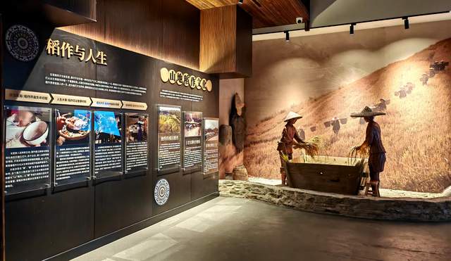 丹寨苗族文化博览馆盛大启幕：云上丹寨再添千年苗文化新地标