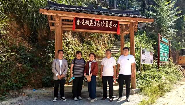 贵州珍稀濒危药材保护开发重大突破！金毛狗蕨繁育技术开启新征程