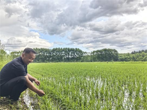 1750732283733419.png 图片1.png