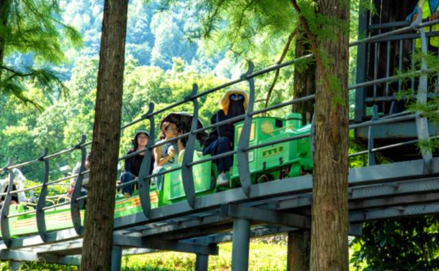 从贵州到露营之家：一场关于供应链升级的深度对话