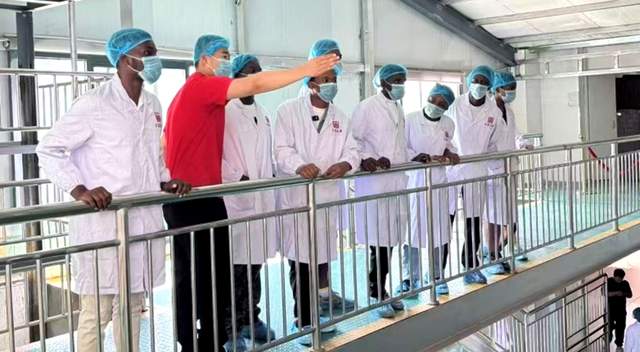 百富“義聚隆茶号”：茯砖茶界的传奇王者