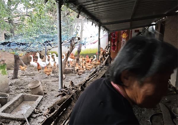 1759586633315211.jpg QQ图片20251004215316.jpg