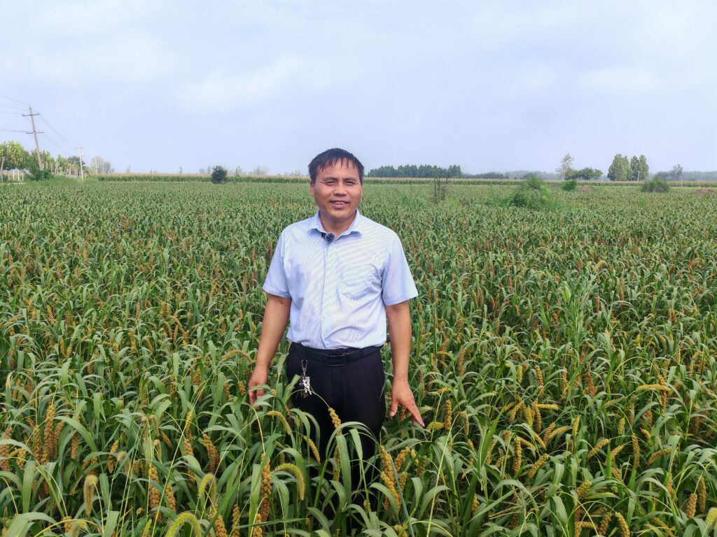 苔花如米小，也学牡丹开——记太康县乡村仁医陈国厂