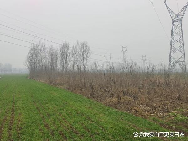 媒体关注河南沈丘“补贴黑洞”：杜庄村村支书被指涉嫌蚕食惠农资金