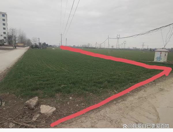 媒体关注河南沈丘“补贴黑洞”：杜庄村村支书被指涉嫌蚕食惠农资金