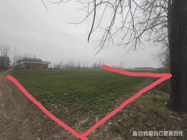 媒体关注河南沈丘“补贴黑洞”：杜庄村村支书被指涉嫌蚕食惠农资金